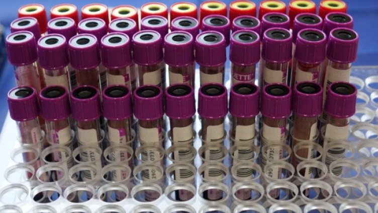 Снимка: Димитър Кьосемарлиев