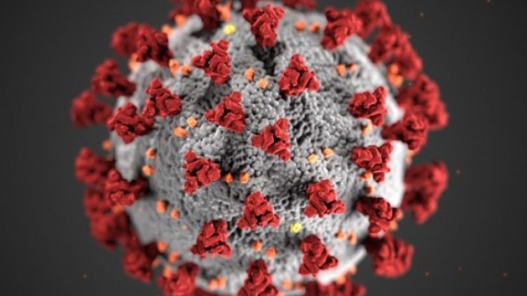 Снимка: архив, БГНЕС