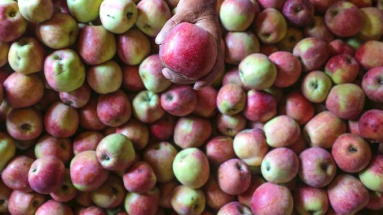 Снимка: архив, БГНЕС