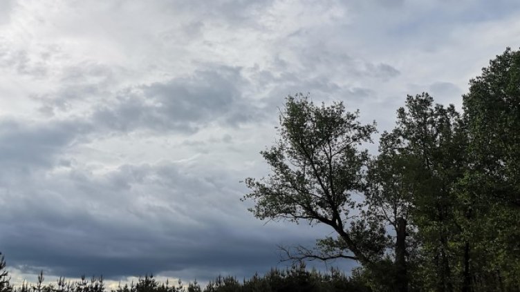 Снимка: архив, БГНЕС