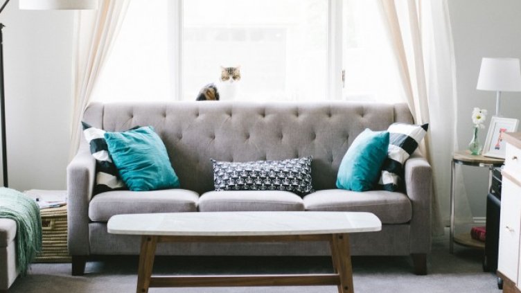 Снимка: StockSnap/Pixabay