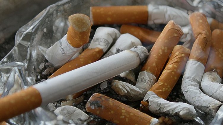 Снимка: Pixabay