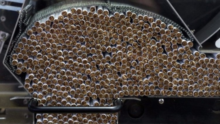 Снимка: архив, БГНЕС