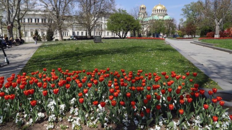Снимка: архив, БГНЕС