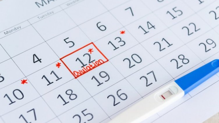 Снимка: Istock