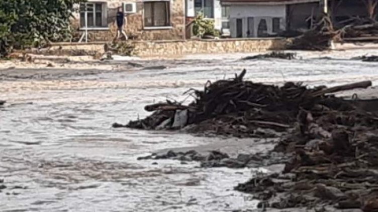 Снимка: БГНЕС, архив