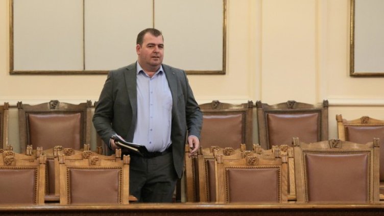 Снимка: БГНЕС