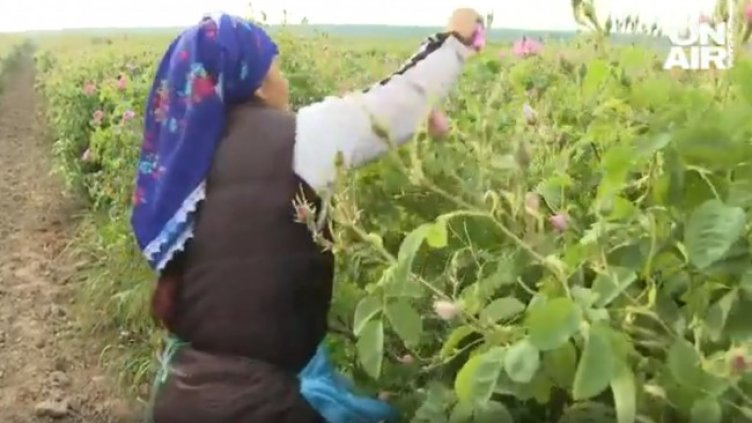 Снимка: Bulgaria ON AIR