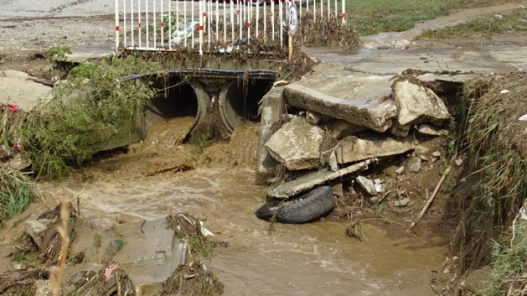 Снимка: БГНЕС, архив