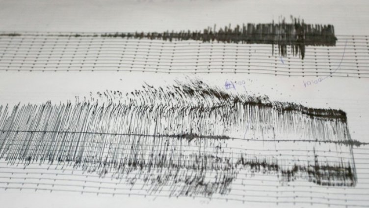 Снимка: архив, БГНЕС
