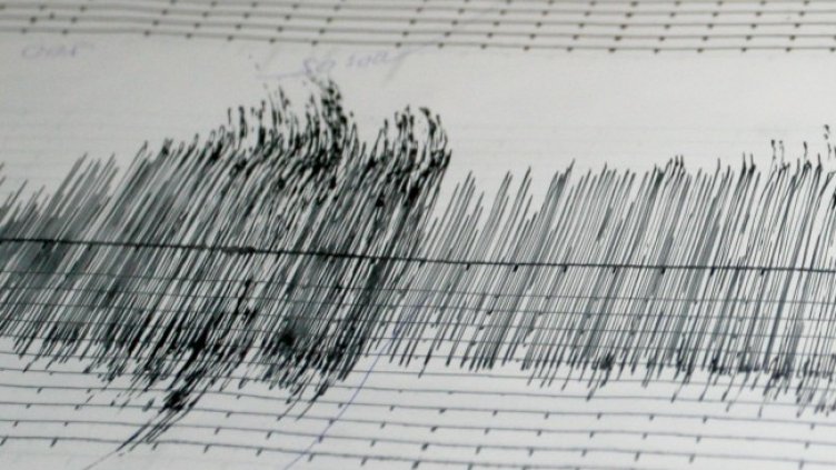 Снимка: архив, БГНЕС