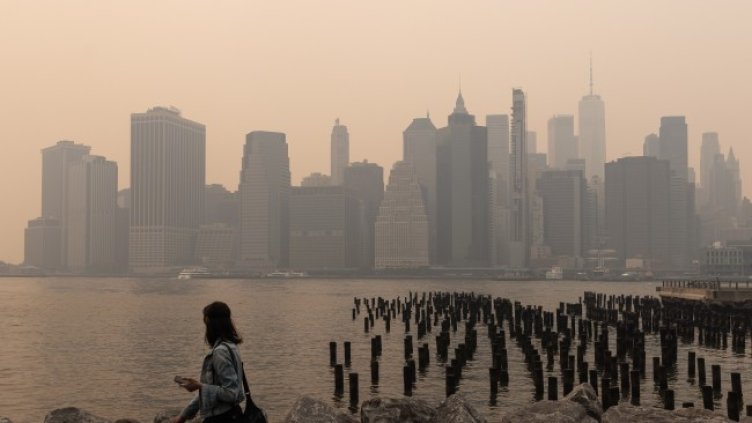 Снимка: архив, БГНЕС