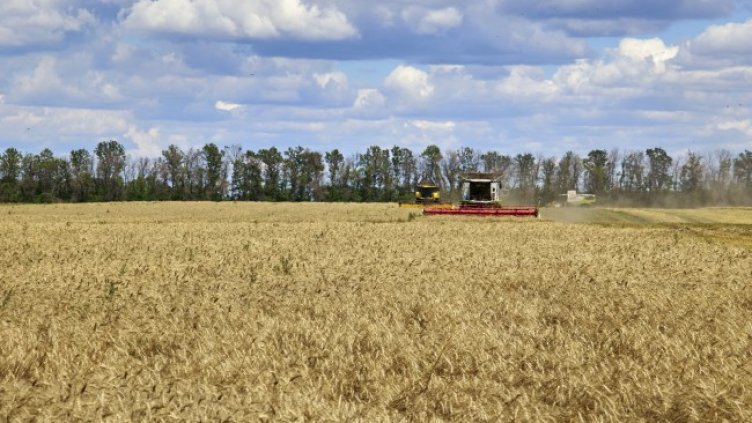 Снимка: архив, БГНЕС