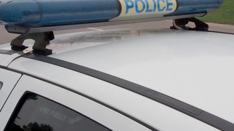 Снимка БГНЕС