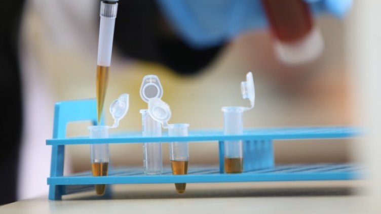 Снимка БГНЕС