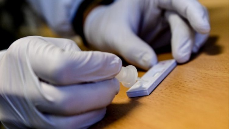 Снимка: архив, БГНЕС