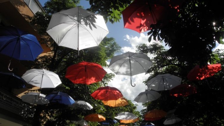 Снимка: Архив, БГНЕС