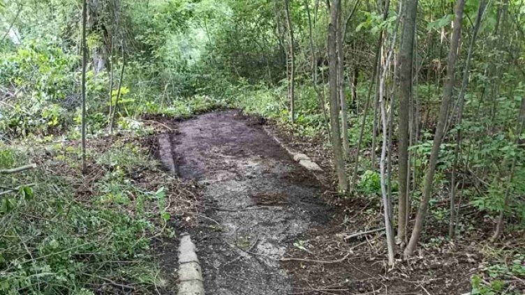 Снимка: Helpbook