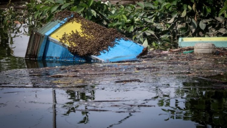 Снимка: архив, БГНЕС