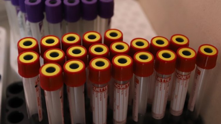 Снимка БГНЕС