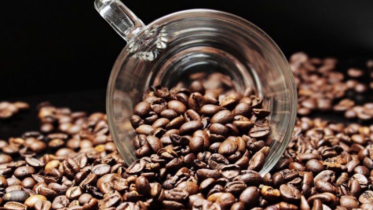 Снимка: Pixabay