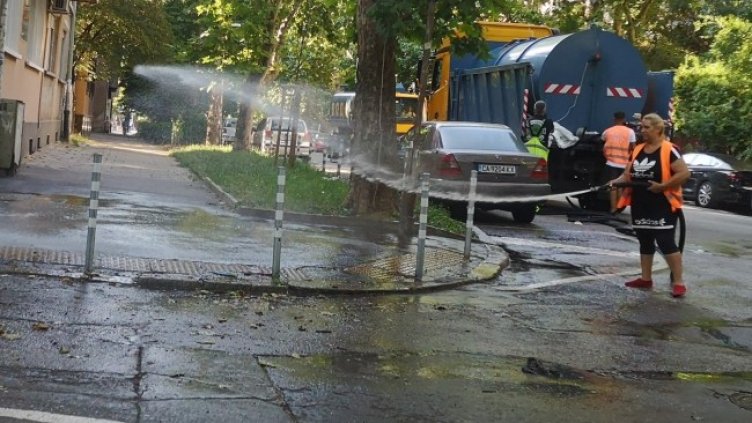 Снимка: архив, БГНЕС