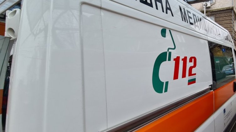 Снимка: архив, БГНЕС