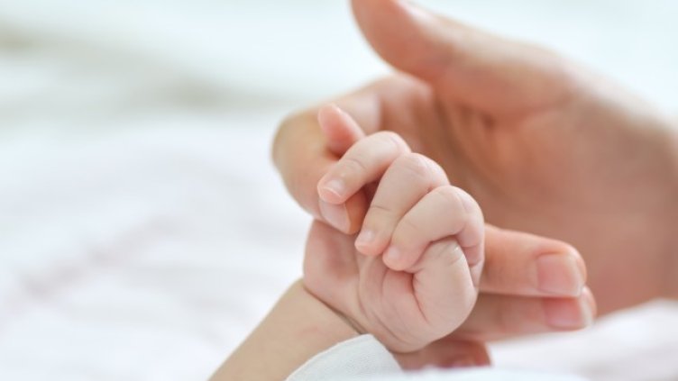 Снимка: Pixabay