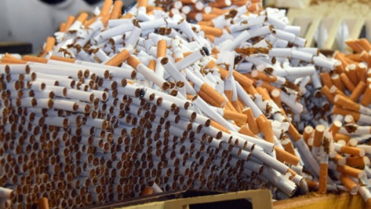 Снимка: архив, БГНЕС