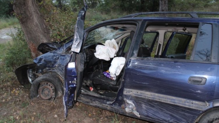 Снимка: Архив, БГНЕС