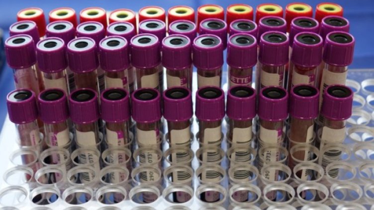 Снимка: Димитър Кьосемарлиев