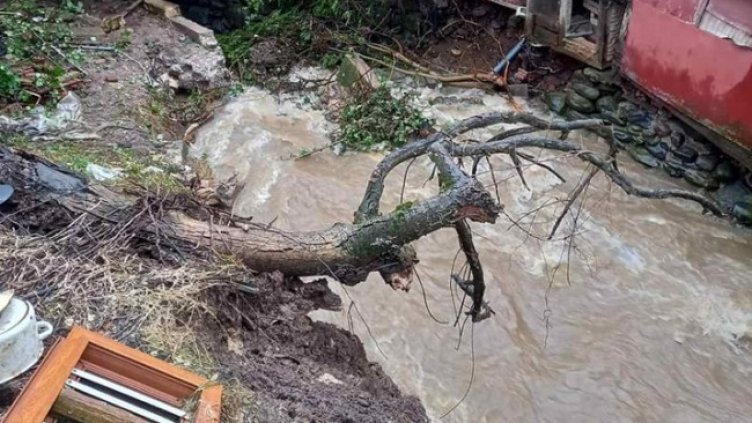 Снимка: Община Берковица