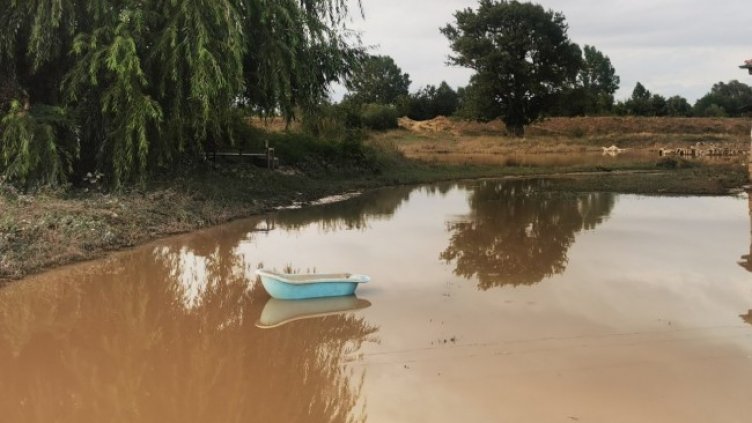 Снимка: БГНЕС, архив