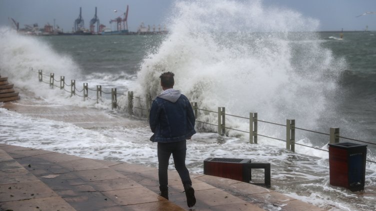 Снимка: архив, БГНЕС