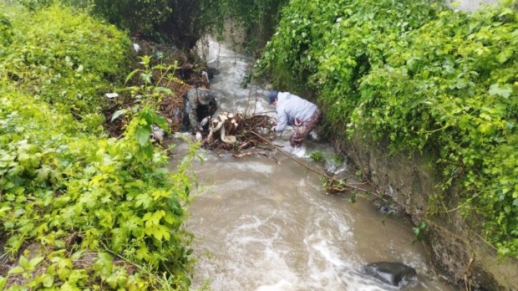 Снимка: архив, БГНЕС