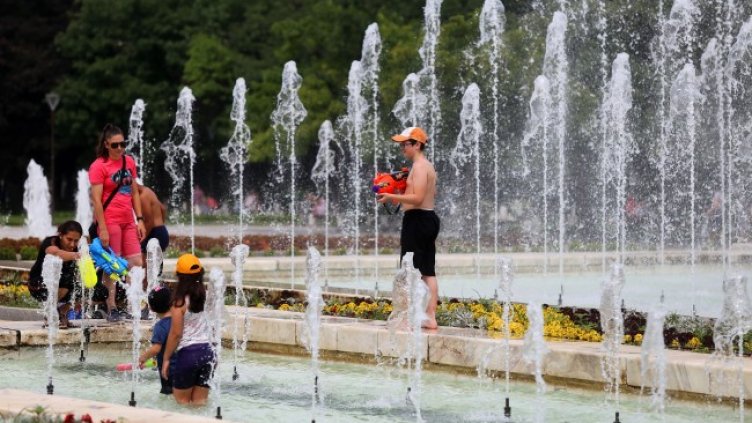 Снимка: БГНЕС