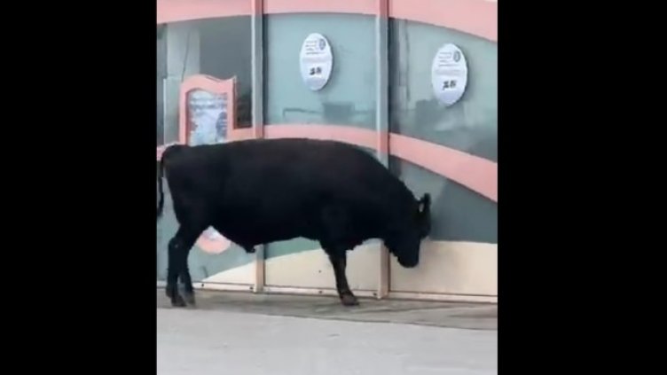 Снимка: Facebook