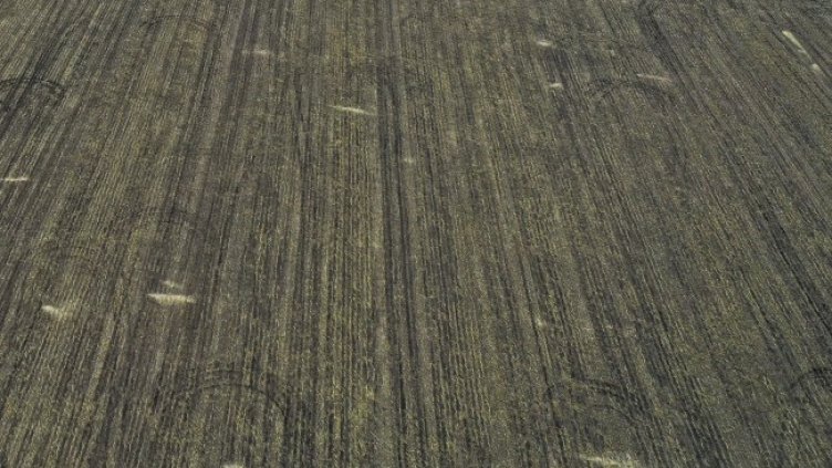 Снимка: архив, БГНЕС