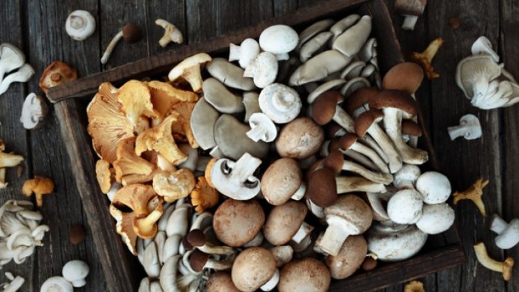 Снимка: Istock