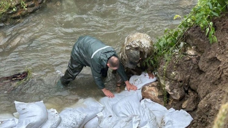 Снимка: БГНЕС