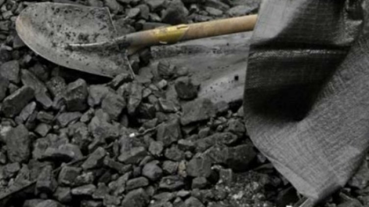 Снимка: архив, БГНЕС