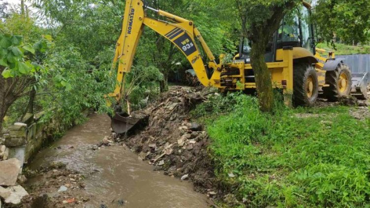 Снимка: архив, БГНЕС