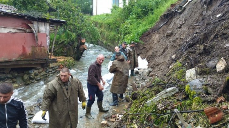 Снимка: архив, БГНЕС