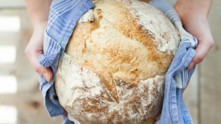 Снимка: Pixabay