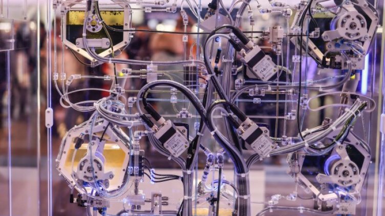 Снимка: архив, БГНЕС