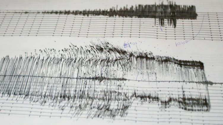 Снимка: архив, БГНЕС