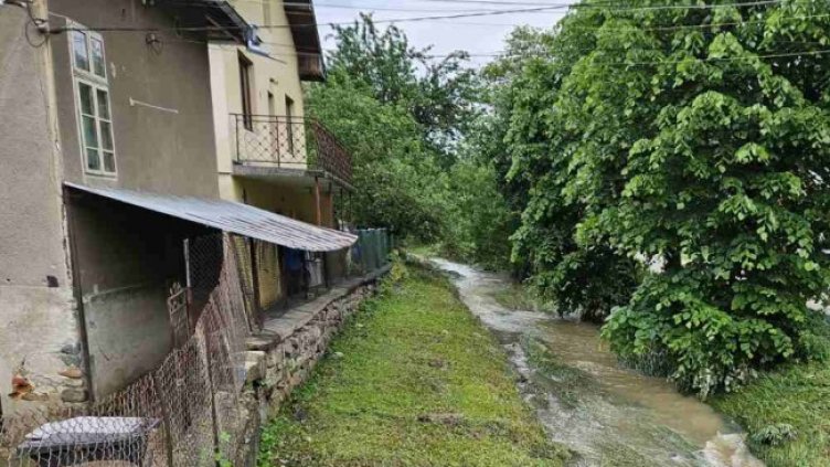 Снимка БГНЕС