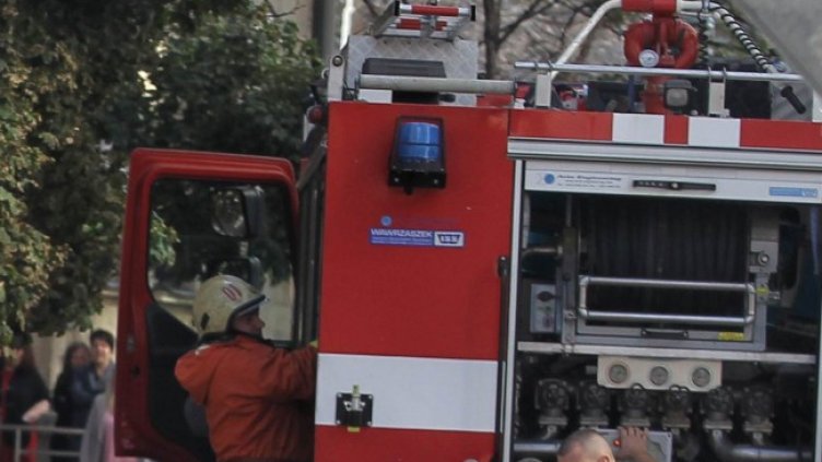 Снимка: Димитър Кьосемарлиев, Dnes.bg