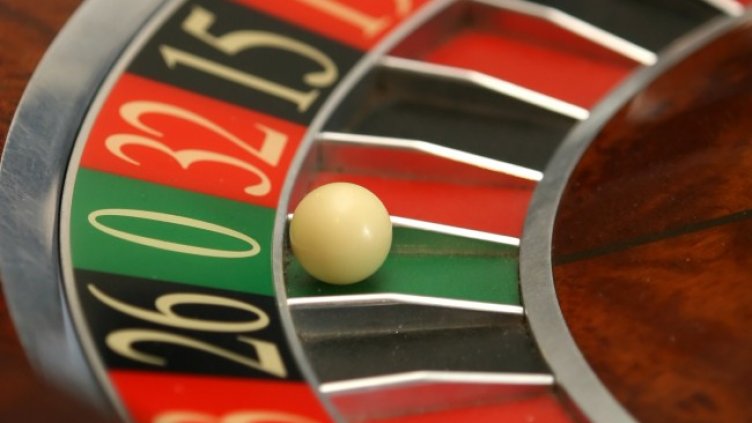 Снимка БГНЕС