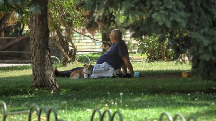 Снимка: Димитър Кьосемарлиев, Dnes.bg